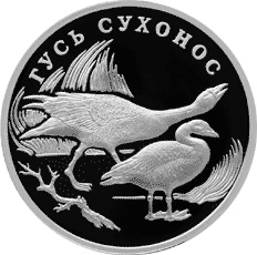Реверс монеты Гусь сухонос