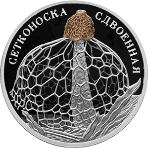 Реверс монеты Сетконоска сдвоенная