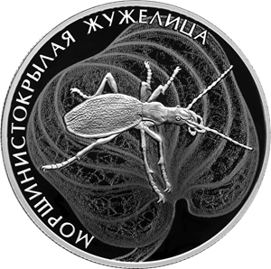 Реверс монеты Морщинистокрылая жужелица